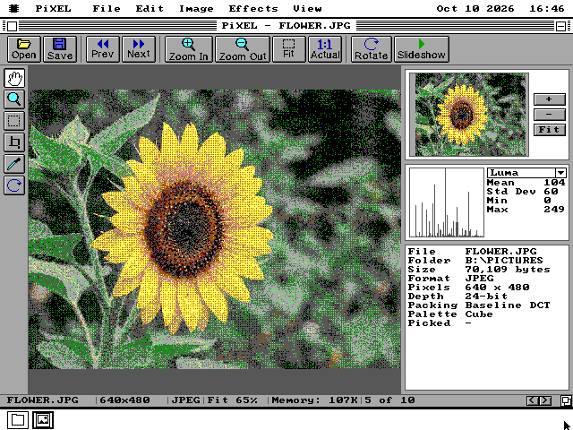 The PiXEL window on VGA showing a sunflower JPEG dithered to sixteen colours, with a toolbar, a column of tools, and Navigator, Histogram and file information panels on the right.